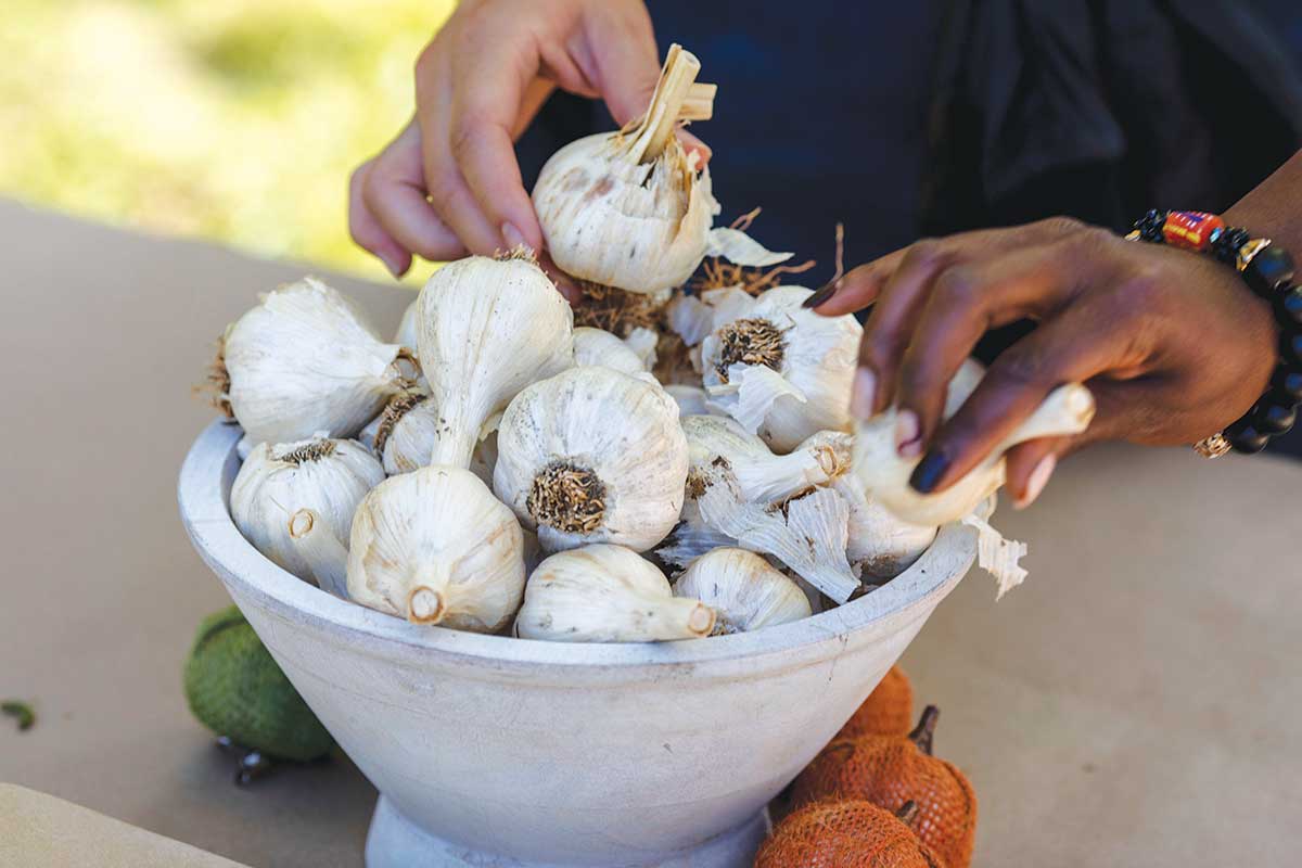 Carolina Farm Trust Garlic