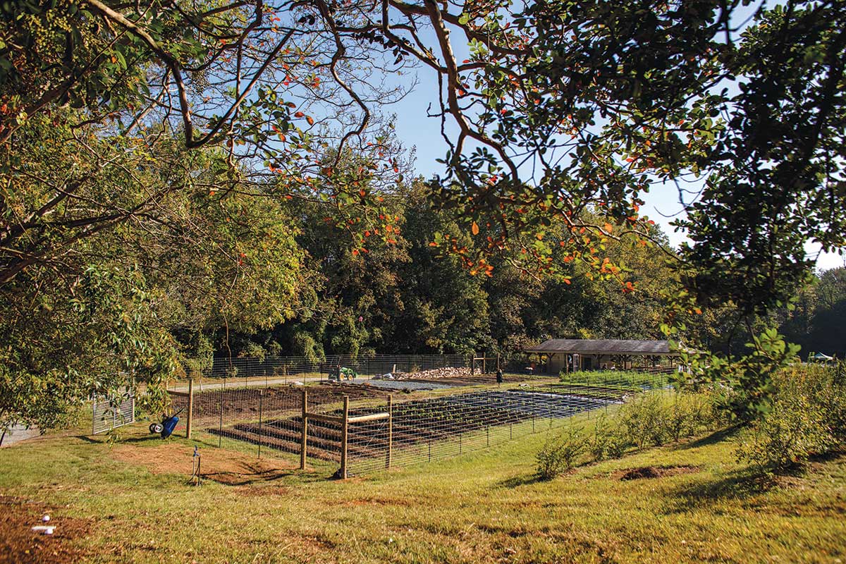 Carolina Farm Trust Farm fields