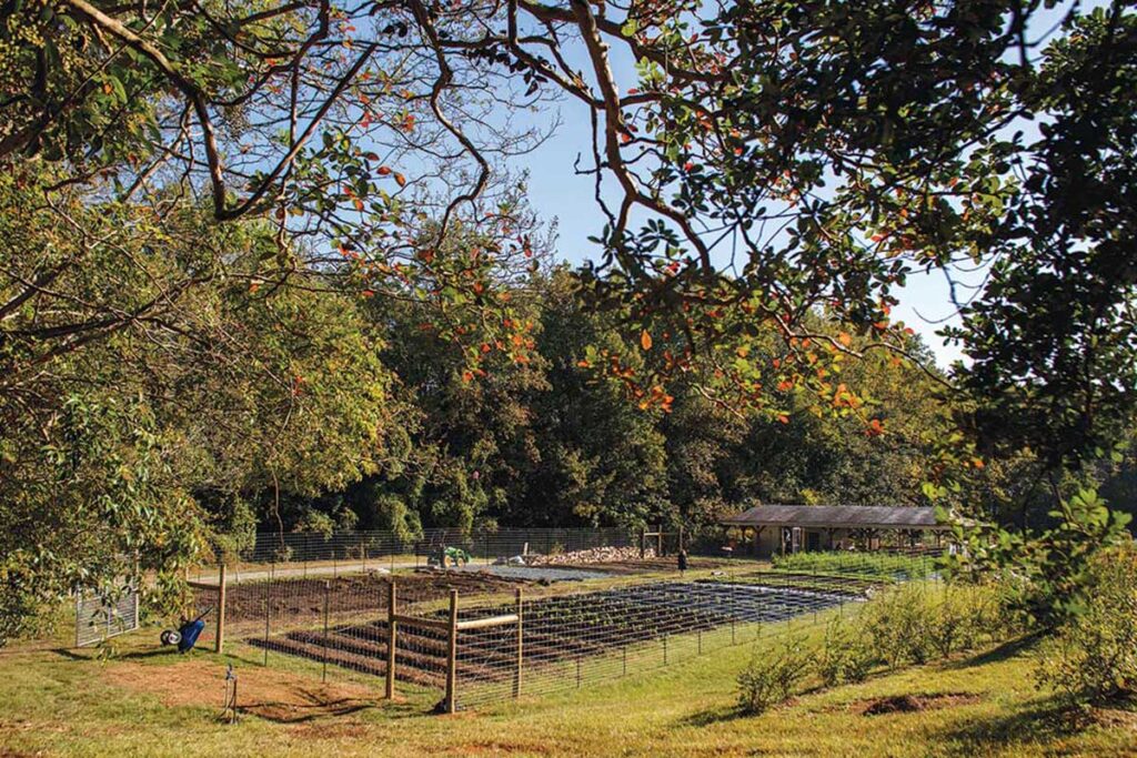 The Urban Farm at Aldersgate: A Bright Spot Year-Round