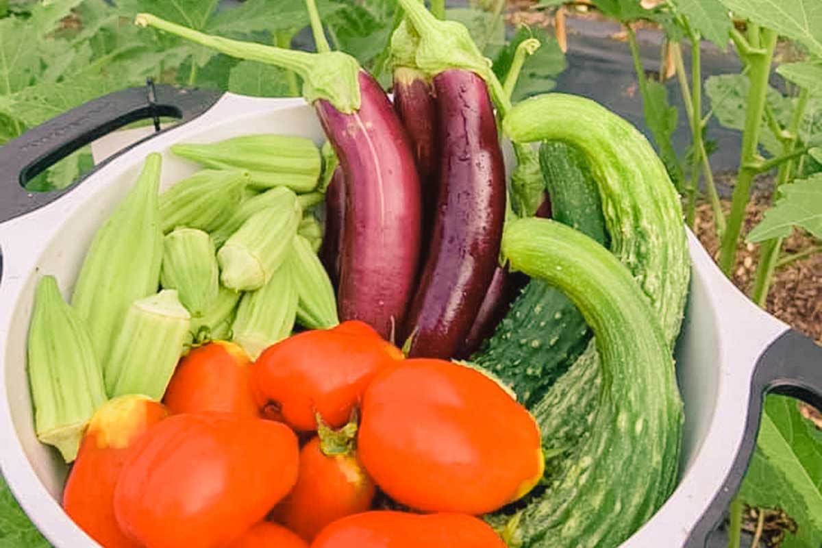 Farm-to-table at Aldersgate: Fresh food, right at home